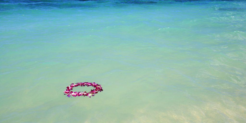 Hawaiian lei floating in the water. RIP Eddie.