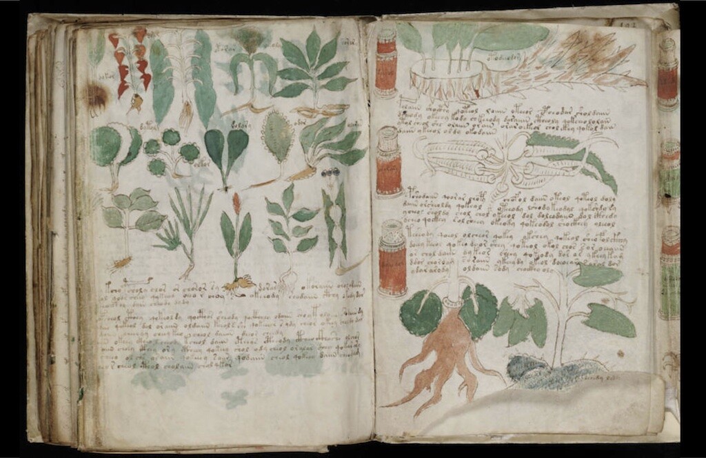 voynich manuscript solved stack