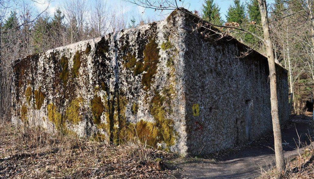 Amber Room History Mamerki Bunker.