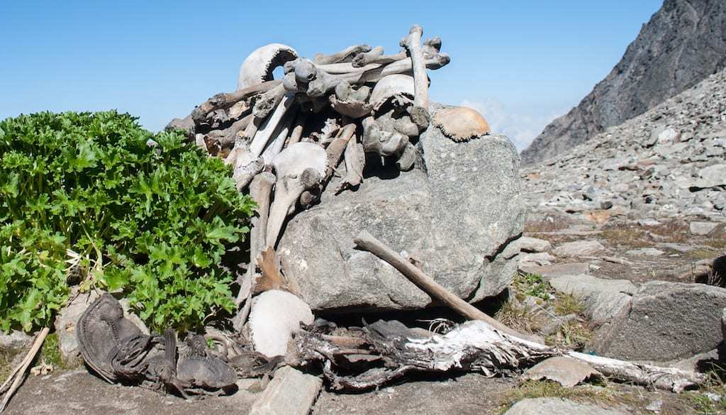 Skeletons piled up on the shore of Roopkund.