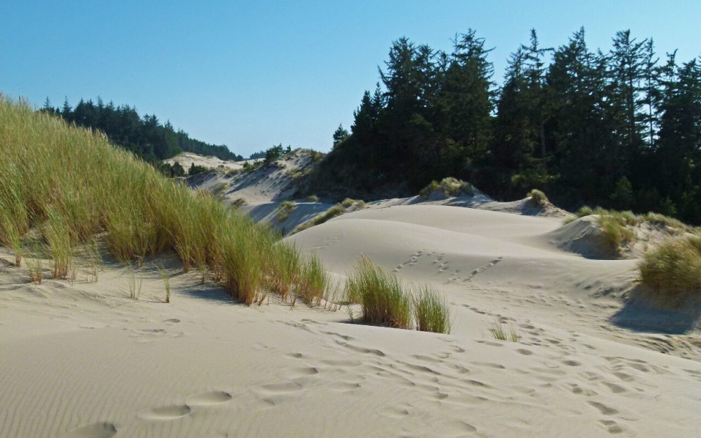 Cape Cod's Lady Of The Dunes 1974 Case - Historic Mysteries