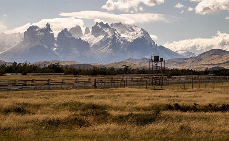 Kap Dwa, The Two Headed Giant Mummy Of Patagonia - Historic Mysteries